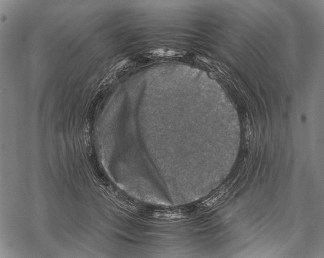 X0000067460559200605051624