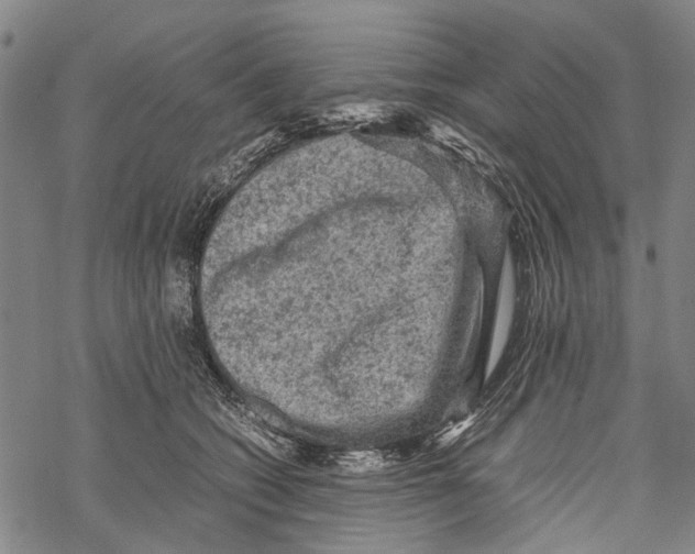 X0000067460562200605051624