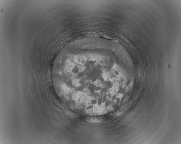 X0000067460565200605051625