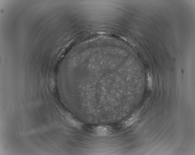 X0000067460566200605051625