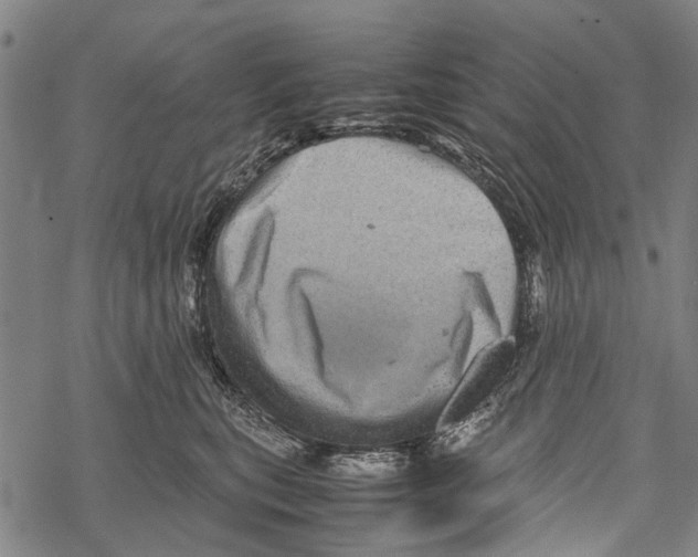 X0000067460567200605051625