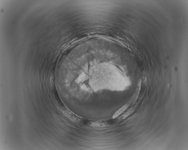 X0000067460568200605051625