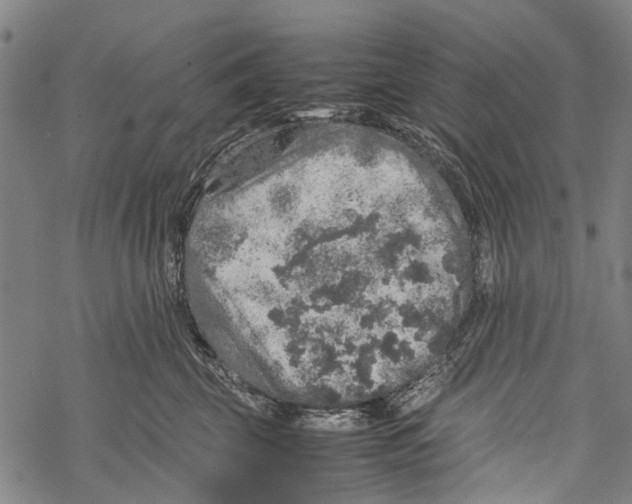 X0000067460569200605051625