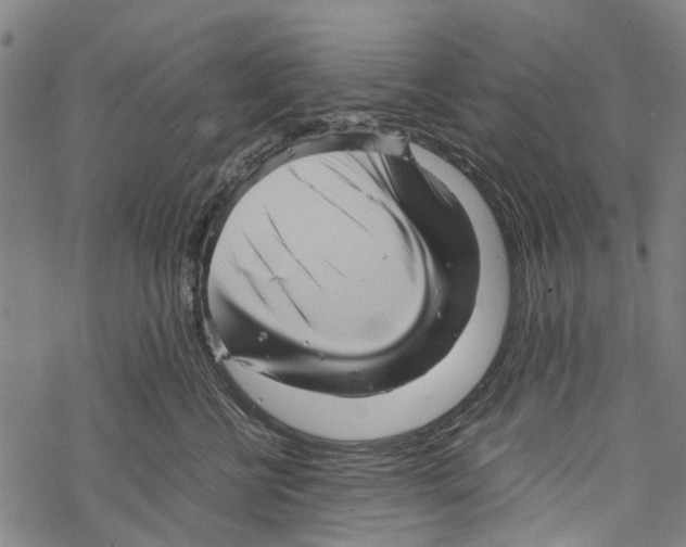 X0000067460570200605051625