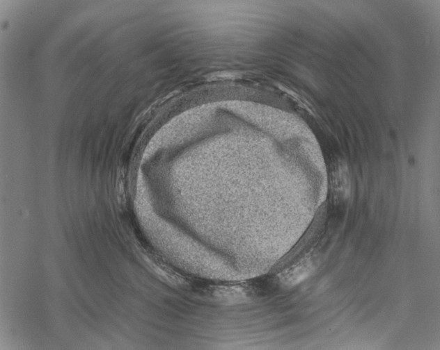 X0000067460572200605051625