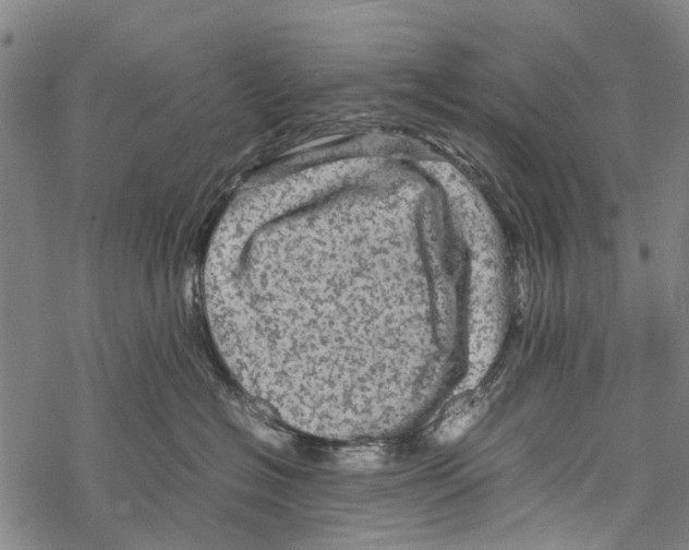 X0000067460574200605051625