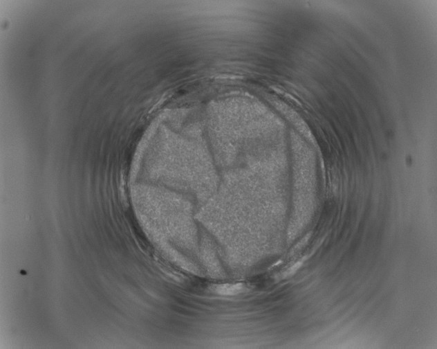 X0000067460575200605051625