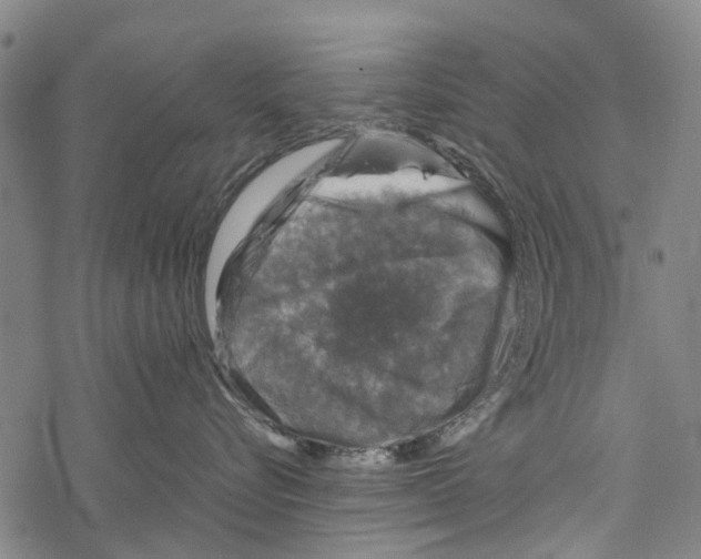 X0000067460576200605051625