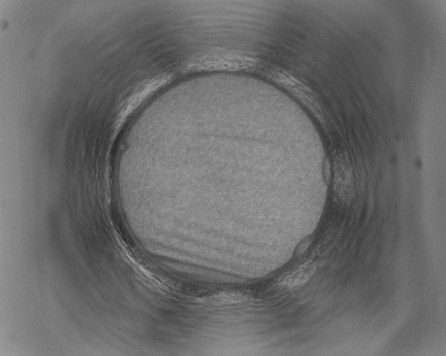 X0000067460578200605051624