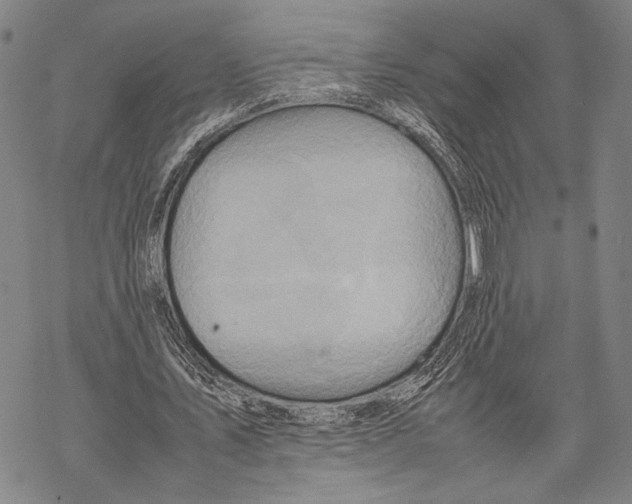 X0000067460579200605051624