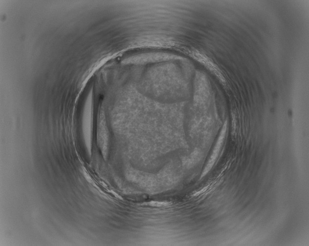 X0000067460580200605051624