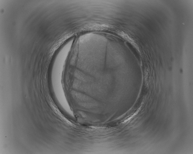 X0000067460581200605051624