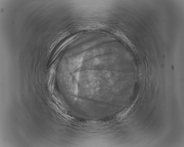 X0000067460585200605051624