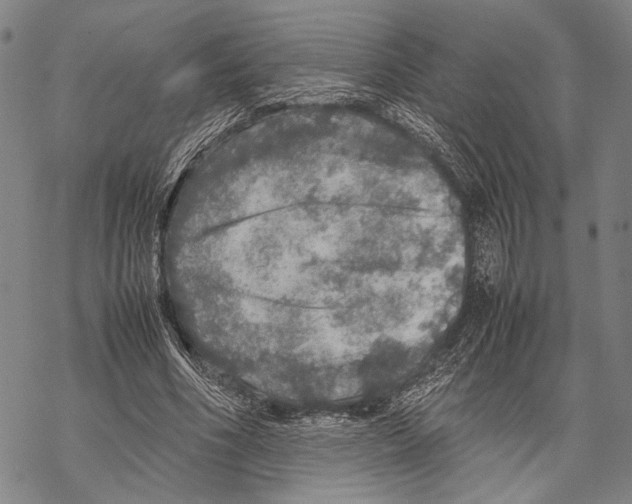 X0000067460586200605051624