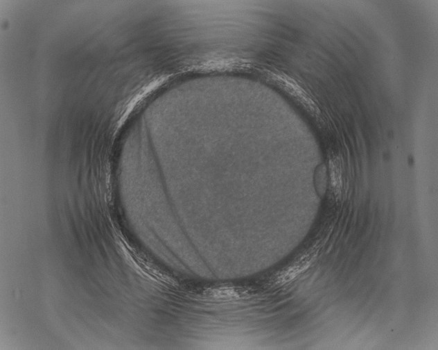 X0000067460588200605051624