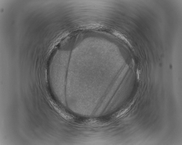 X0000067460589200605051624