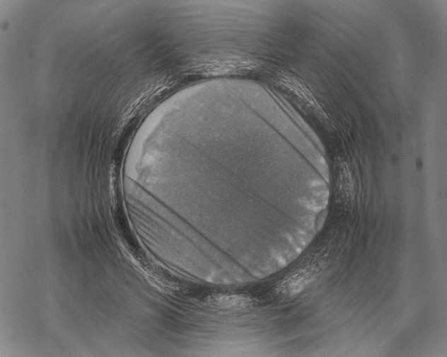 X0000067460590200605051624