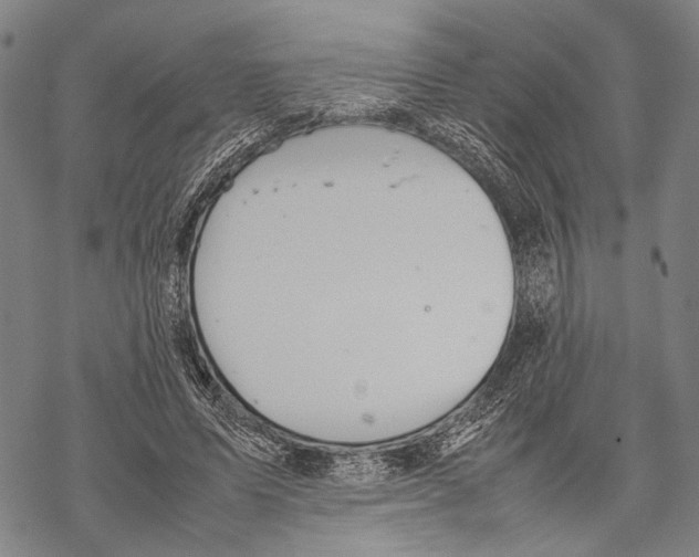 X0000067460591200605051624