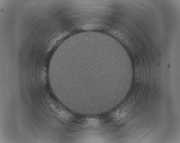 X0000067460592200605051624