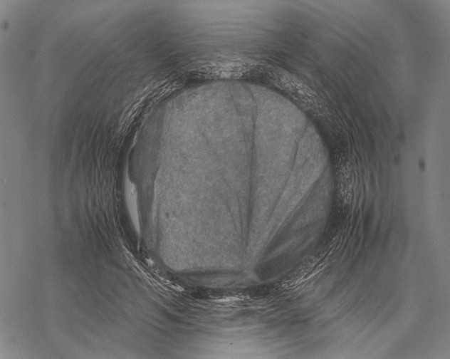 X0000067460594200605051624