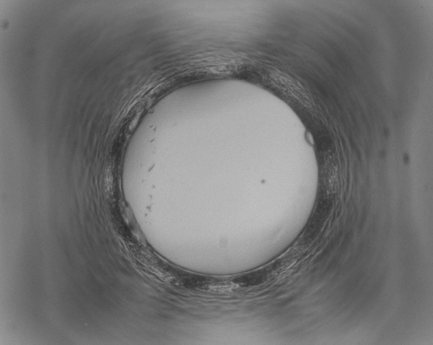 X0000067460595200605051624