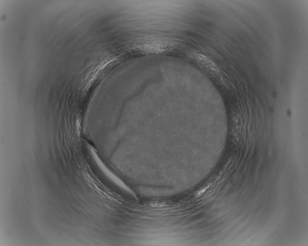 X0000067460596200605051624