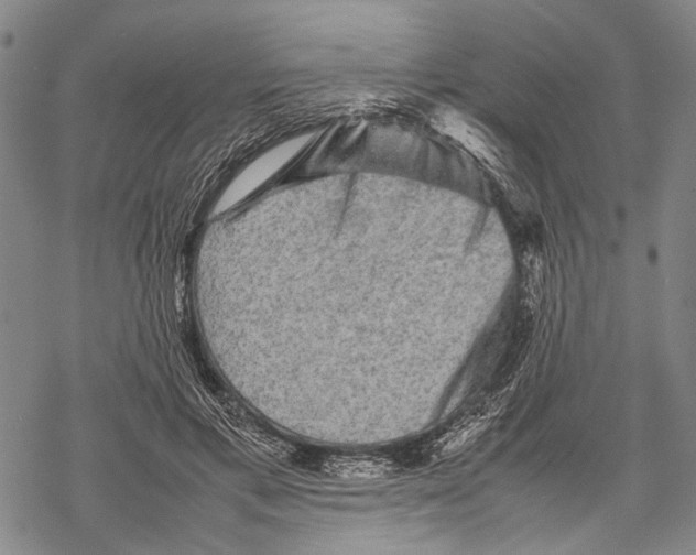 X0000067460597200605051624