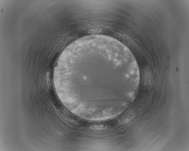 X0000067460598200605051624