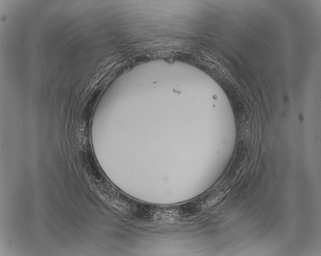 X0000067460599200605051624