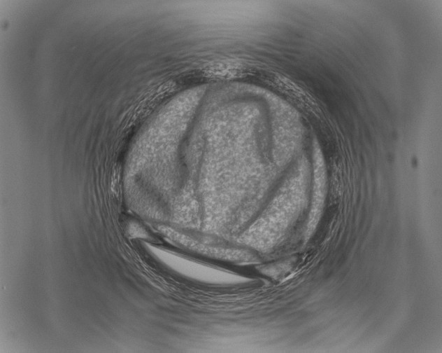 X0000067460601200605051624