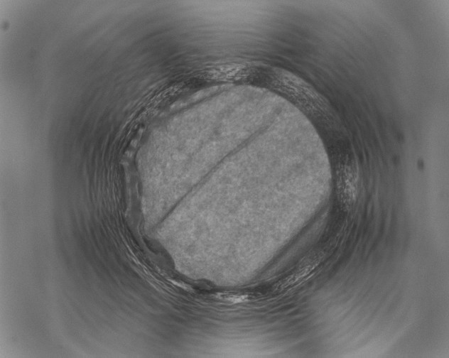 X0000067460602200605051623