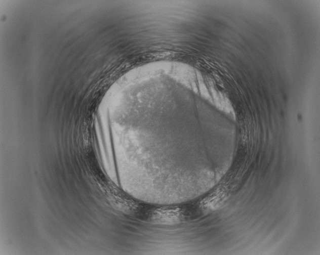 X0000067460606200605051623