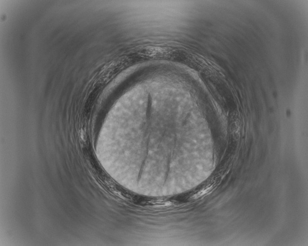 X0000067460607200605051623