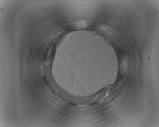 X0000067460608200605051623