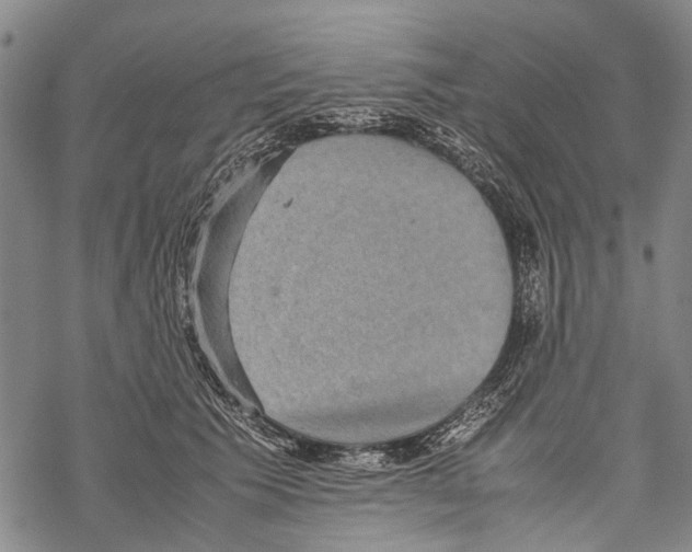 X0000067460609200605051623