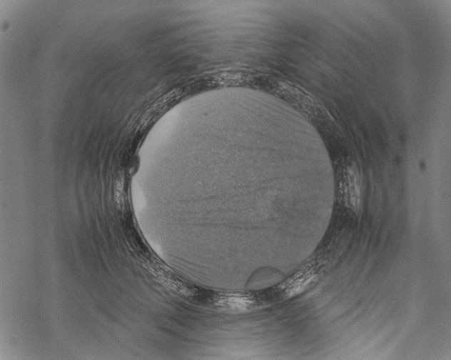 X0000067460610200605051623