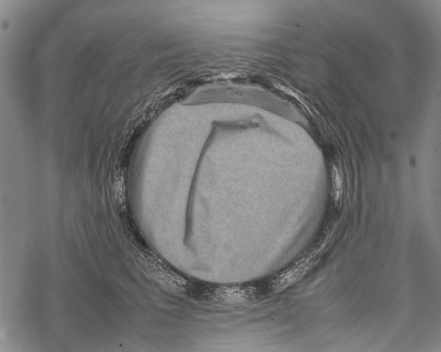 X0000067460613200605051623