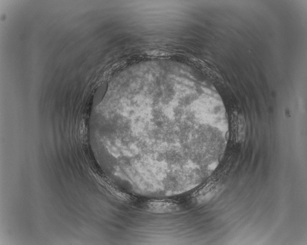 X0000067460614200605051623