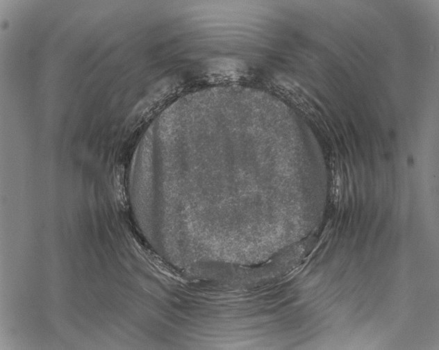 X0000067460616200605051623