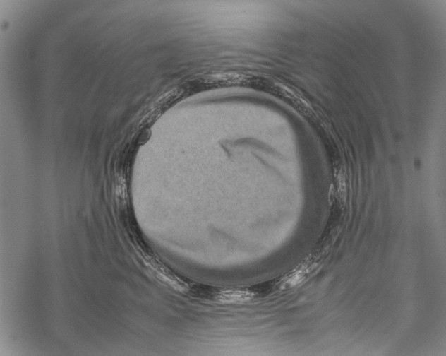 X0000067460617200605051623