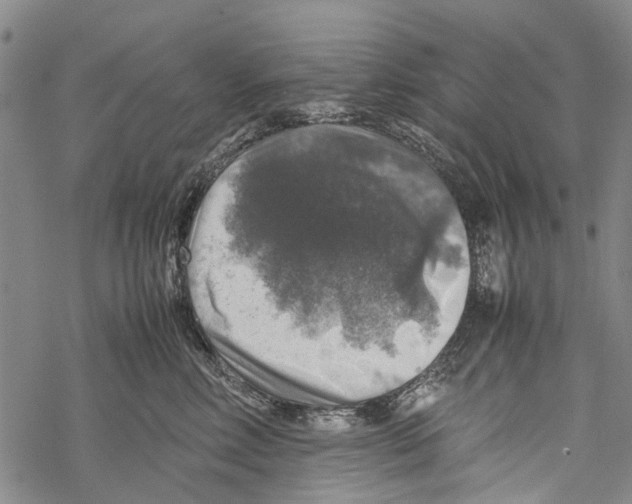 X0000067460618200605051623