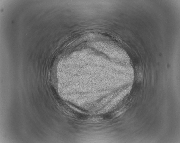 X0000067460619200605051623