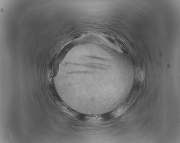 X0000067460621200605051623