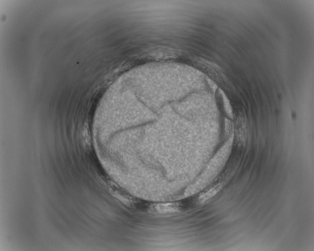 X0000067460622200605051623