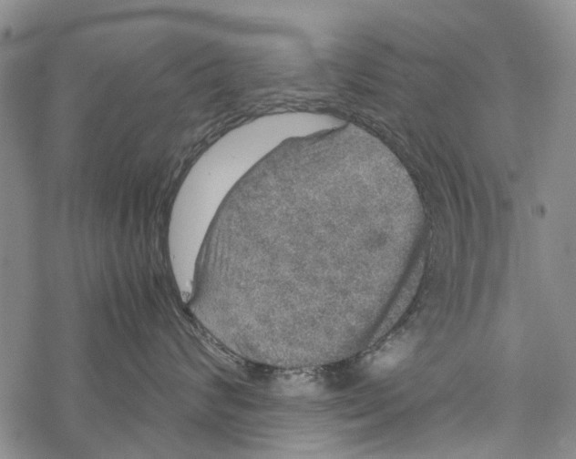 X0000067460624200605051623