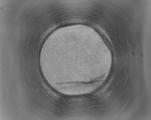 X0000067460625200605051622