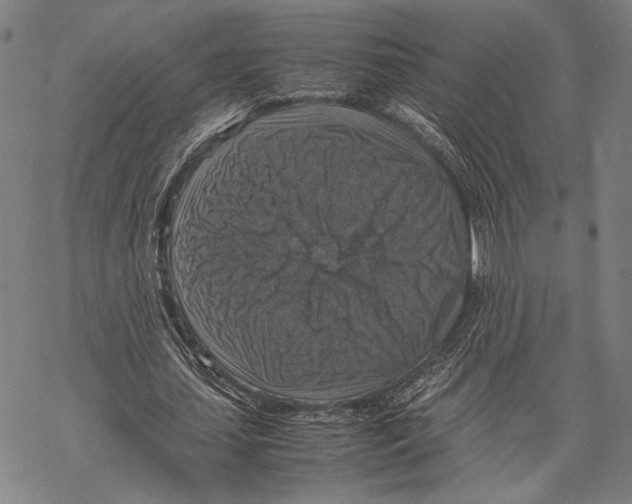 X0000067460627200605051622