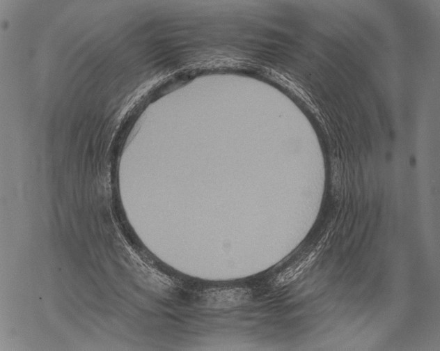 X0000067460629200605051622