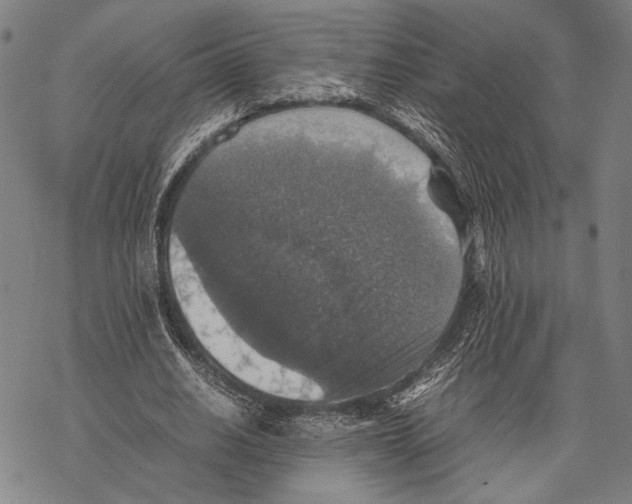 X0000067460630200605051622