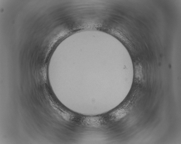 X0000067460632200605051622